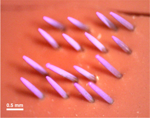 Needle Array Image